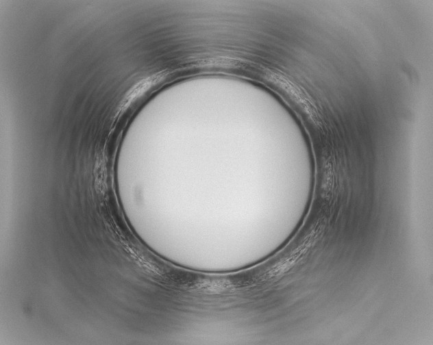 X0000115800978200912041530