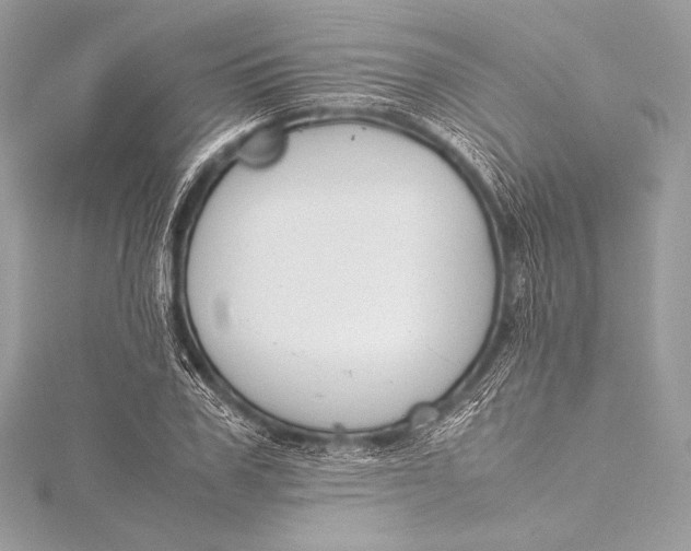 X0000115800979200912041530