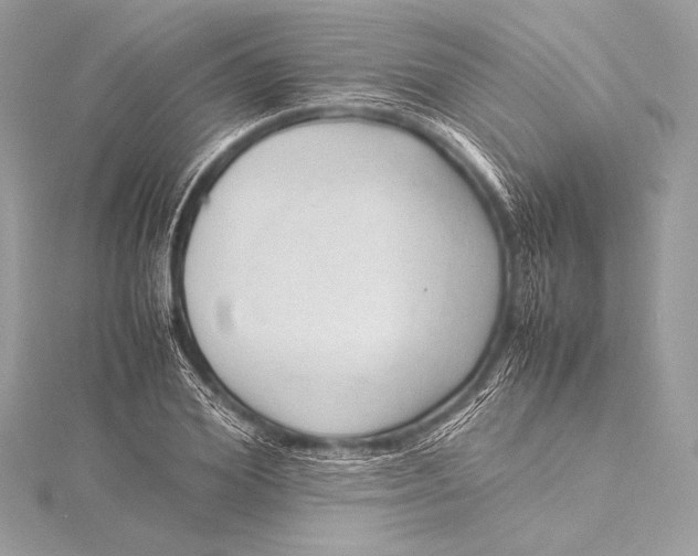 X0000115800980200912041530