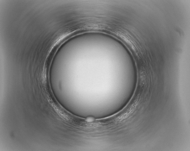 X0000115800981200912041530