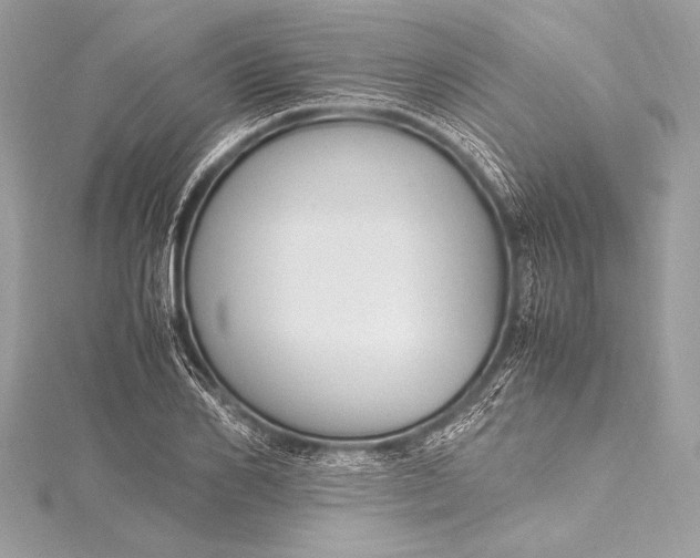 X0000115800982200912041530