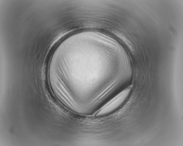 X0000115800983200912041530