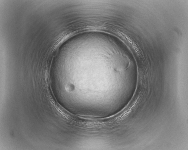 X0000115800985200912041530