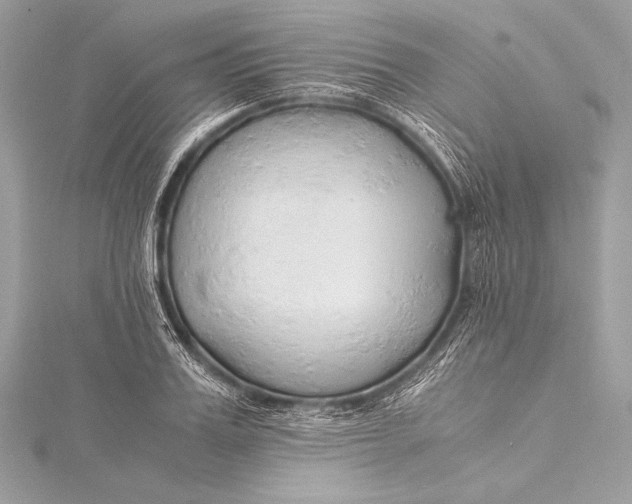 X0000115800987200912041530