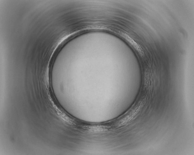 X0000115800988200912041530