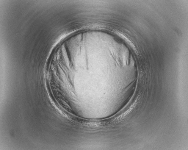 X0000115800989200912041530