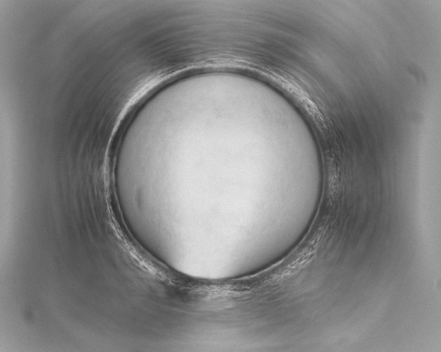 X0000115800990200912041530