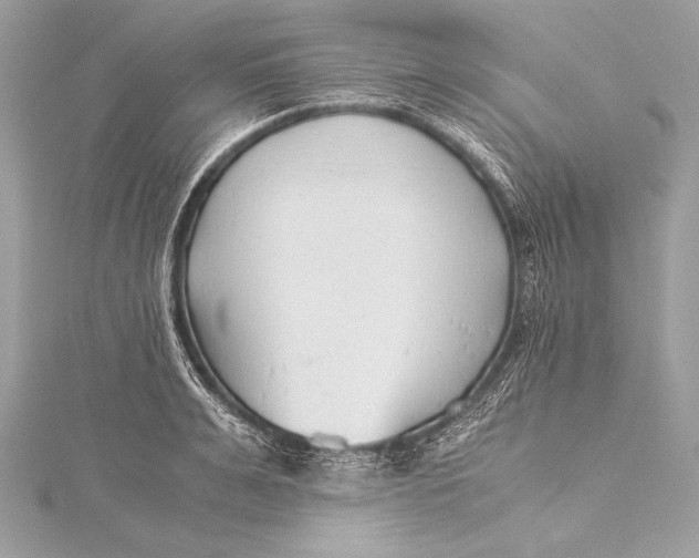 X0000115800991200912041530