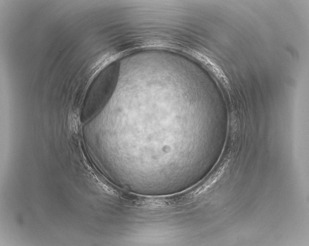 X0000115800993200912041530