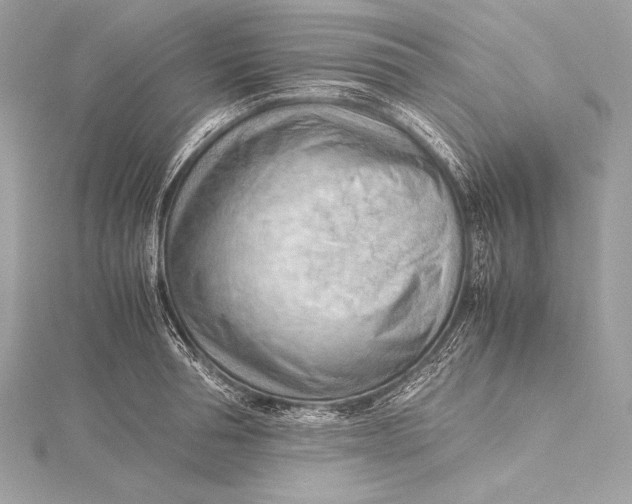 X0000115800994200912041530