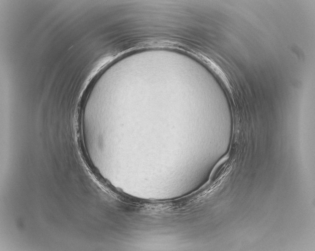 X0000115800997200912041530