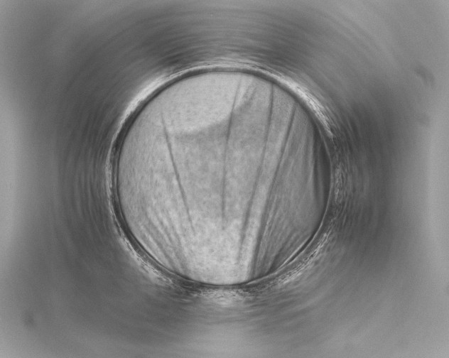 X0000115800998200912041530