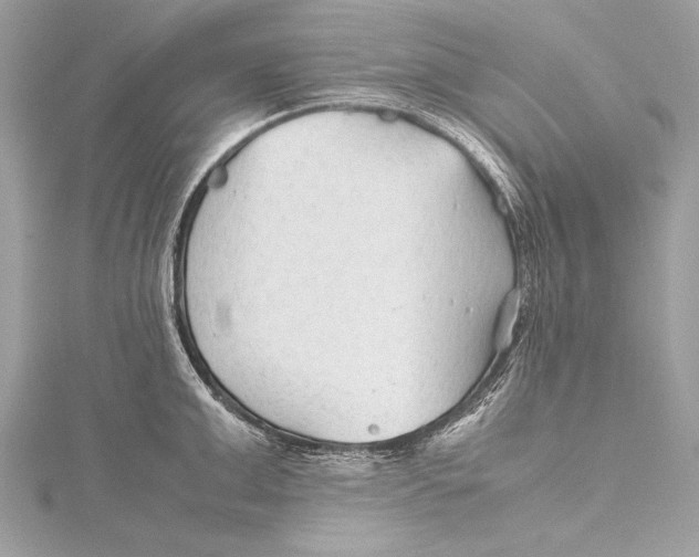 X0000115800999200912041530