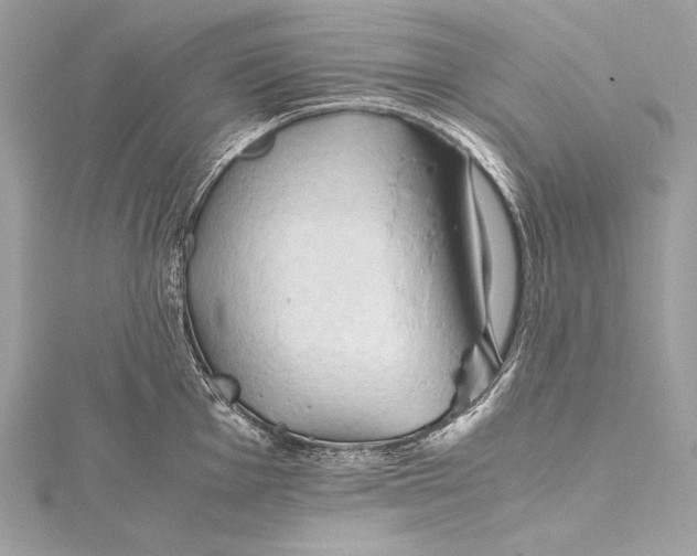 X0000115801001200912041530