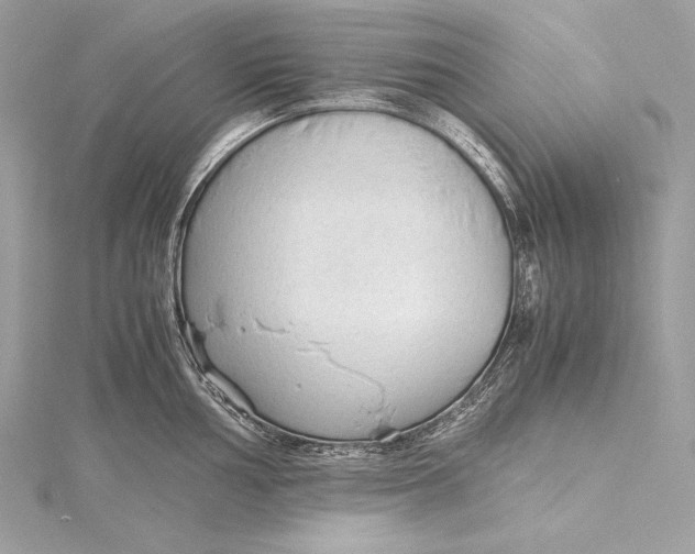 X0000115801002200912041530