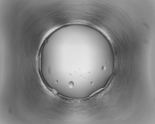 X0000115801003200912041530