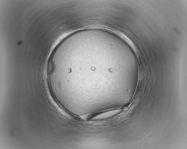 X0000115801005200912041530