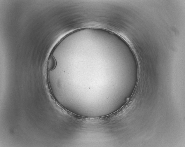 X0000115801008200912041529