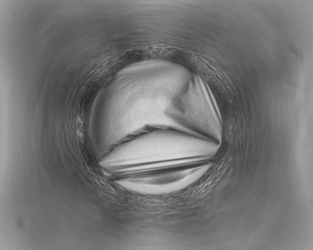 X0000115801010200912041529