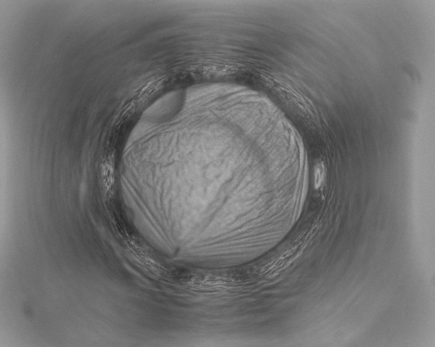 X0000115801011200912041529