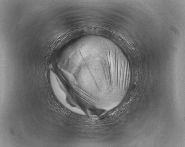 X0000115801013200912041529