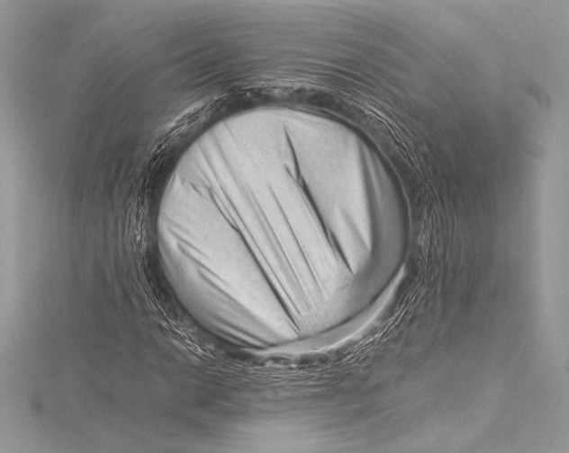 X0000115801014200912041529