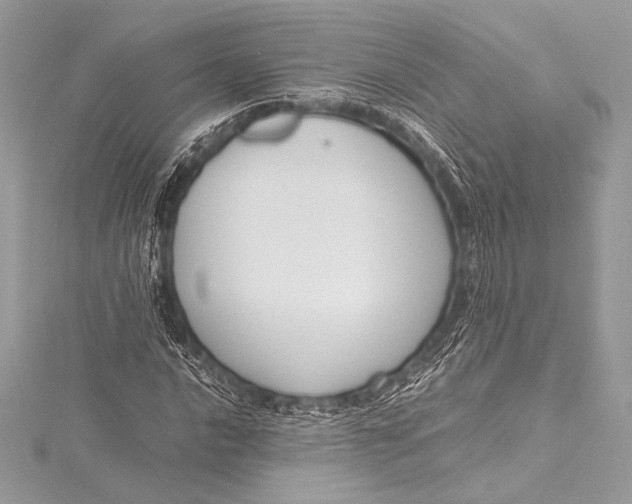 X0000115801016200912041529