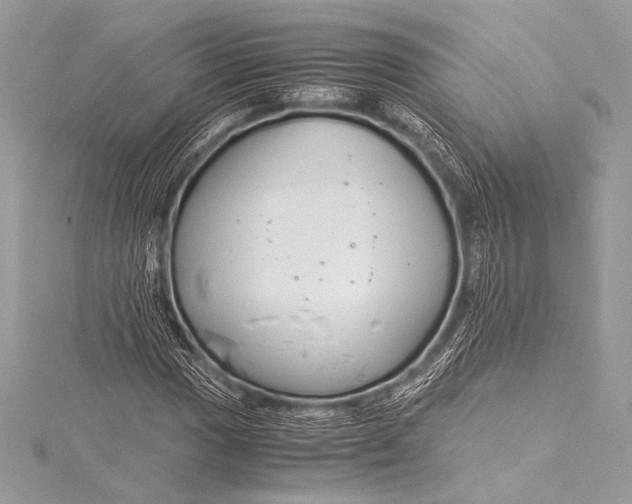 X0000115801017200912041529