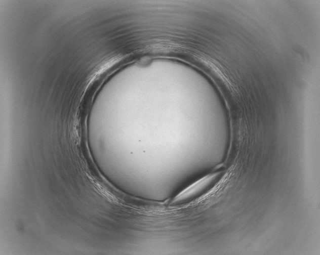 X0000115801018200912041529