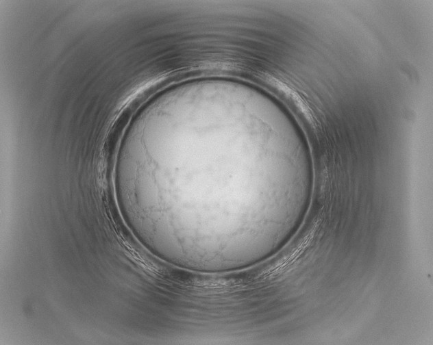 X0000115801019200912041529