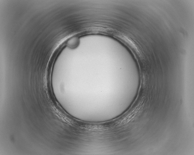 X0000115801020200912041529