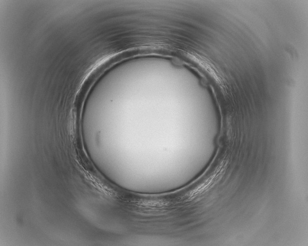 X0000115801021200912041529