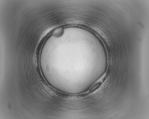 X0000115801022200912041529