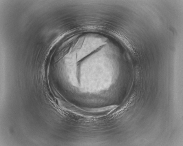 X0000115801023200912041529