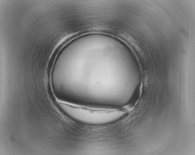 X0000115801024200912041529