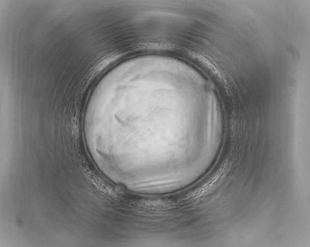 X0000115801025200912041529