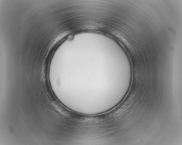 X0000115801026200912041529