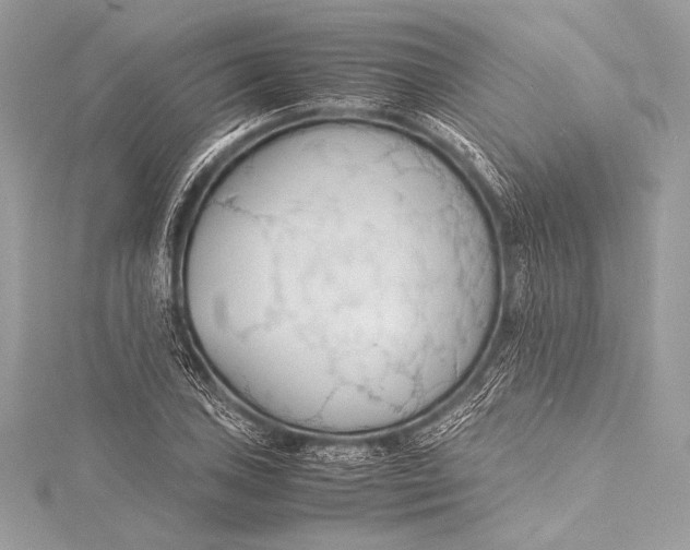 X0000115801027200912041529