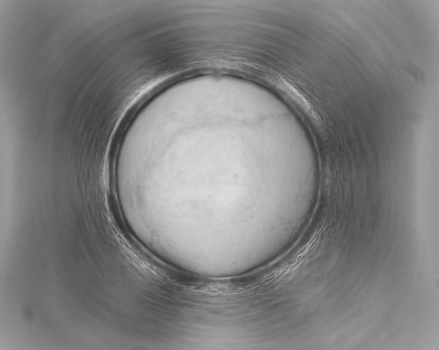 X0000115801028200912041529