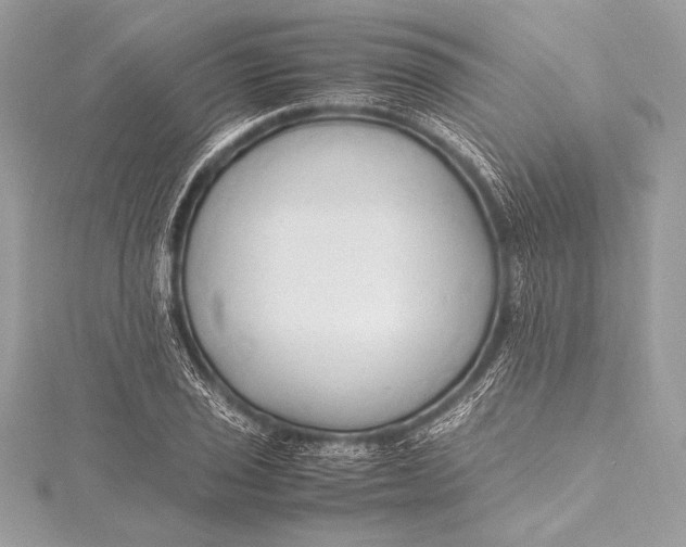 X0000115801029200912041529