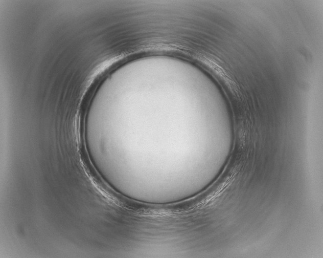 X0000115801030200912041529