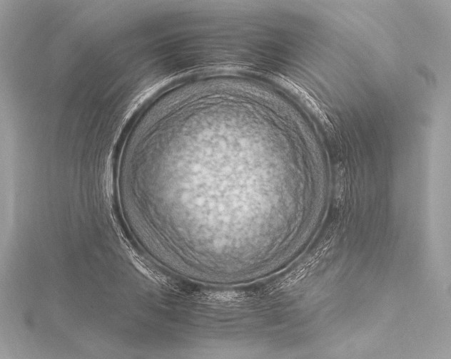 X0000115801031200912041529