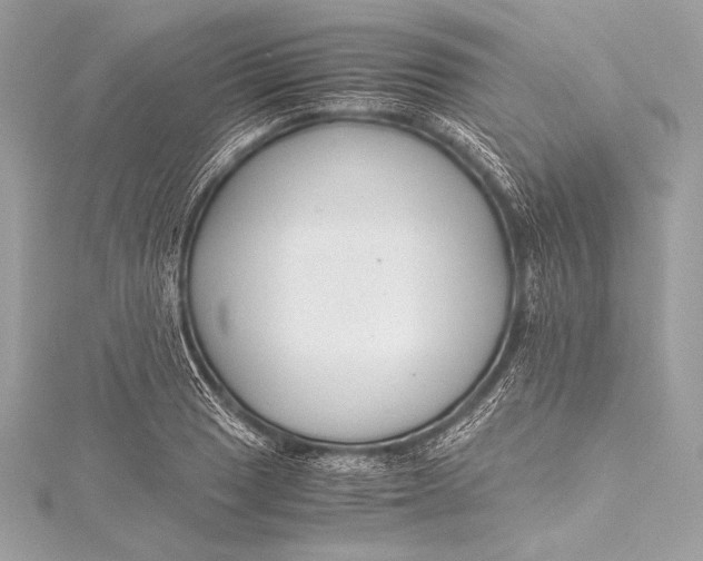 X0000115801033200912041529