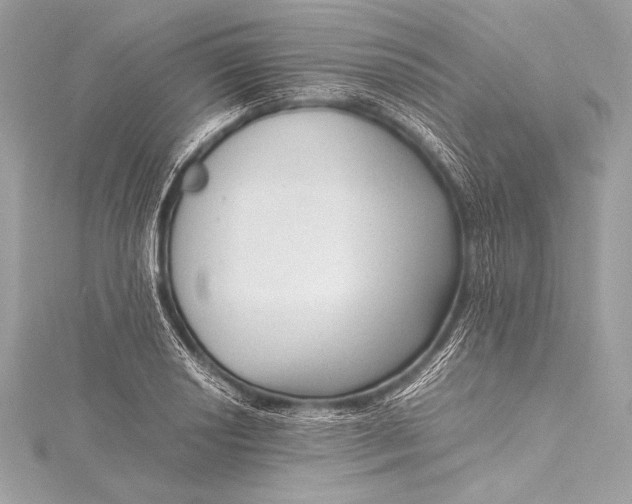 X0000115801034200912041529