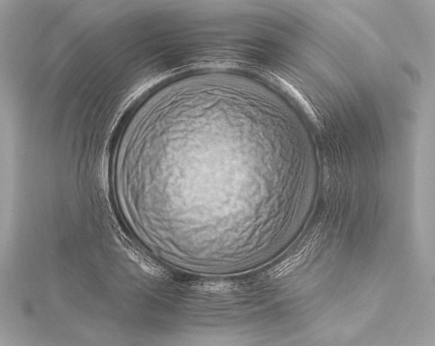 X0000115801035200912041529