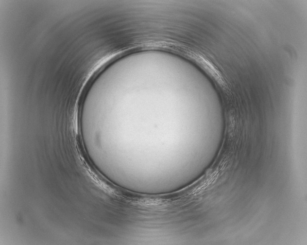 X0000115801036200912041529