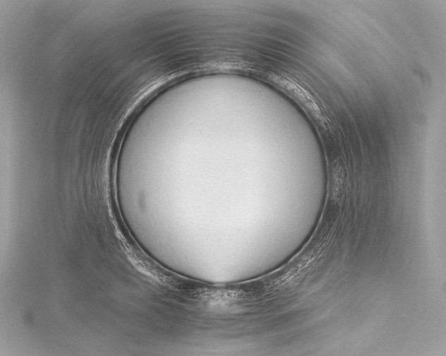 X0000115801039200912041529