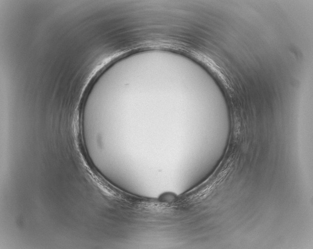 X0000115801040200912041529