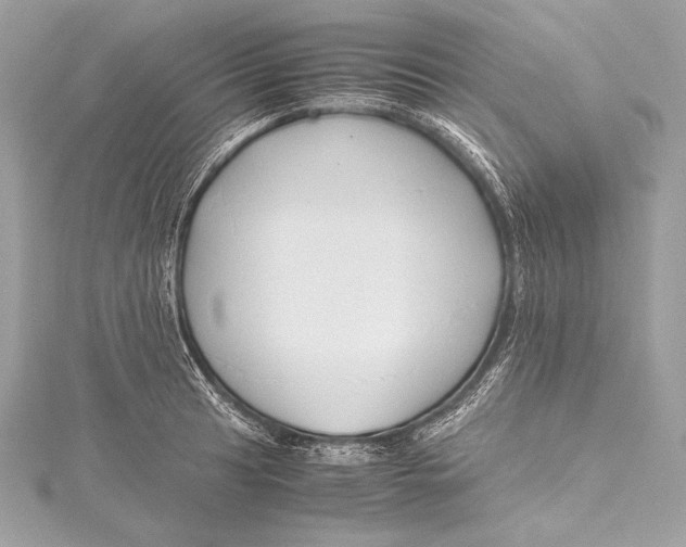 X0000115801041200912041529