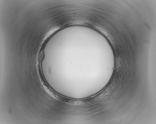 X0000115801042200912041529